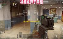 猜一猜以下那种海洋动物是雌雄同体的